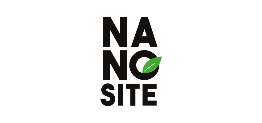 logo nanosite